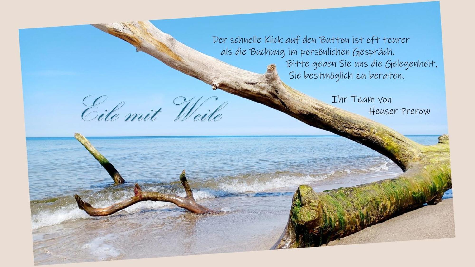 Fewo Seeadler - Heuser Prerow Εξωτερικό φωτογραφία